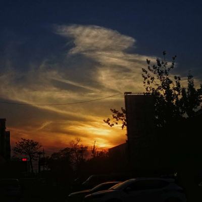 超级鸡鸭兄弟2无敌版