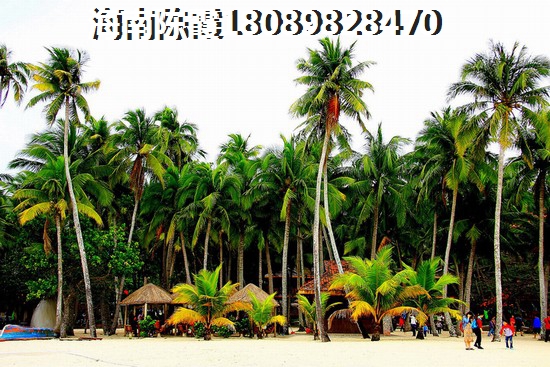 海盛花苑 建筑规划 